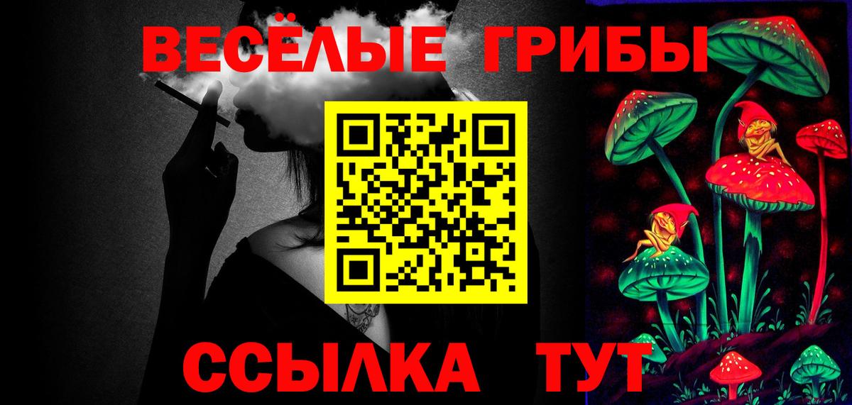 Псилоцибиновые грибы ЛСД  Вход с VPN  где купить наркоту  Михайловка 